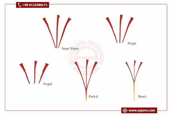 What are the different types of saffron?